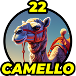 22